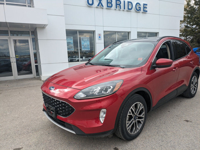 2020 Ford Escape SEL 4WD - Leather/Roof/Nav/Adaptive Cruise!!!! in Cars & Trucks in Kawartha Lakes