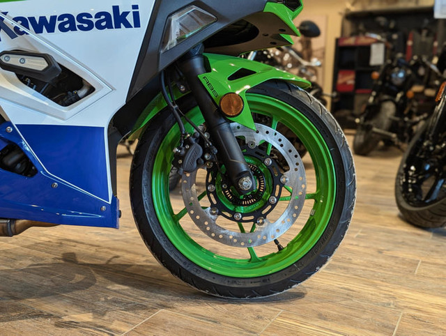 2024 Kawasaki Ninja 500 SE 40th Anniversary Edition in Sport Bikes in Winnipeg - Image 4