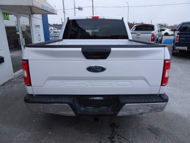 2019 Ford F-150 XLT 4x4 SuperCrew, Rev Cam, Apple CarPlay, Tow P in Cars & Trucks in Delta/Surrey/Langley - Image 4
