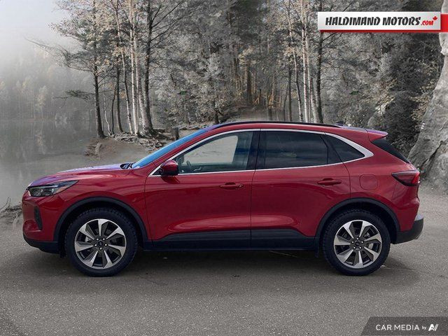 2024 Ford Escape Platinum in Cars & Trucks in Hamilton - Image 2