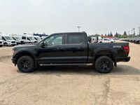 The 2025 Ford F-150 STX | 201A | SuperCrew 145, available at Freedom Ford Sales, is a powerhouse of... (image 3)