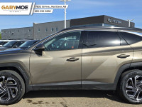 Price includes all Fees and Add-ons. What you see is what you pay! - Excludes GST The 2025 Hyundai T... (image 1)