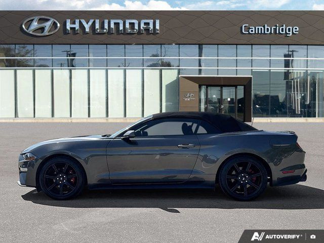 2019 Ford Mustang Convertible | Automatic | Turbocharged | in Cars & Trucks in Cambridge - Image 2