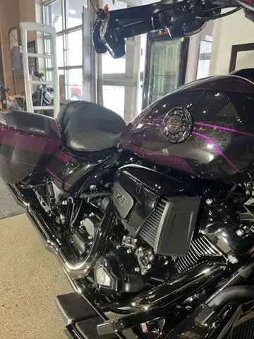 2025 Harley-Davidson FLHXSE - CVO Street Glide in Sport Touring in Winnipeg - Image 8