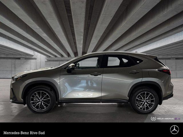 2024 Lexus NX 250 in Cars & Trucks in Longueuil / South Shore - Image 2