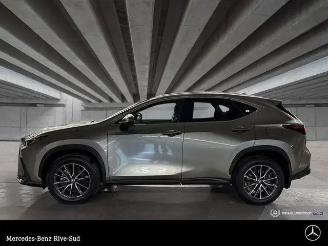 2024 Lexus NX 250 in Cars & Trucks in Longueuil / South Shore - Image 3