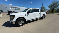 This Ford F-150 is equipped with: Cloth 40/Console/40 Front Seats, Radio: AM/FM SiriusXM w/360L, 12... (image 6)