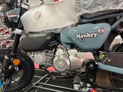 2025 HONDA Z 125 MAS Z 125 MAS Monkey ABS Grey NEW Advertised at $ 5549 Including fine print $ 6212...
