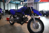 2024 Yamaha TTR-50 Blue