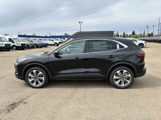 2025 Ford Escape Platinum in Cars & Trucks in Edmonton - Image 2
