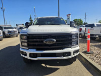 2023 Ford Super Duty F-350 SRW Platinum 4WD Crew Cab 6.75' Box, 6.7L V8 Diesel, Tremor Package, Heat... (image 8)