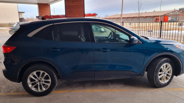 2020 Ford Escape SE in Cars & Trucks in Winnipeg - Image 3