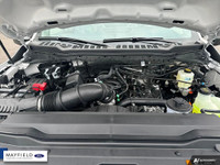 The Humberview Group: 5000 Vehicles. 20 Stores. 18 Brands. 1 Promise: Serving you better each and ev... (image 9)