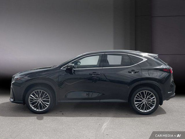 2022 Lexus NX NX 350h in Cars & Trucks in Cambridge - Image 3