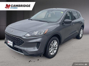 2022 Ford Escape SE | No Accidents | Heated Seats | Carplay