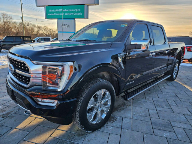 2021 Ford F-150 in Cars & Trucks in Ottawa - Image 2