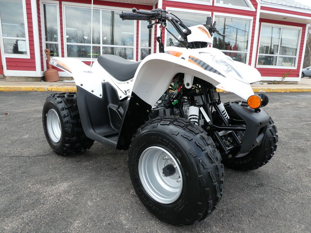  2022 Argo Other 90cc , Electric Start , Forward & Reverse in ATVs in Moncton