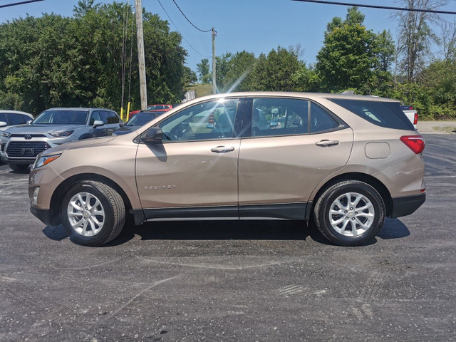 2019 Chevrolet Equinox in Cars & Trucks in Belleville - Image 2