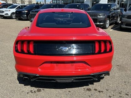 2019 Ford Mustang ECOBOOST COUPE w/NAV + WHEEL & STRIPE PKG in Cars & Trucks in Edmonton - Image 4
