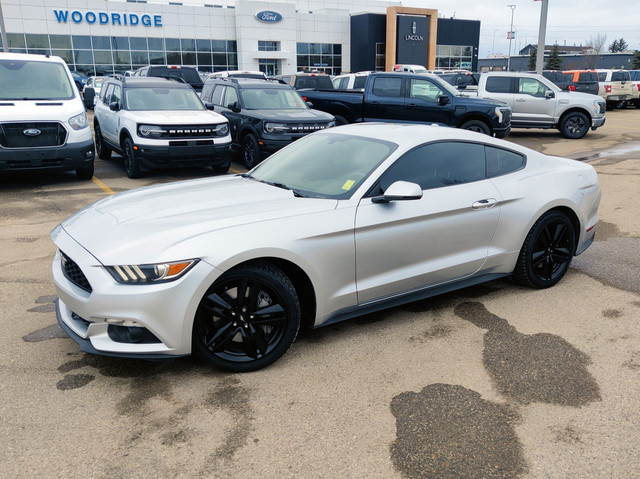 2017 Ford Mustang EcoBoost Premium in Cars & Trucks in Calgary - Image 2