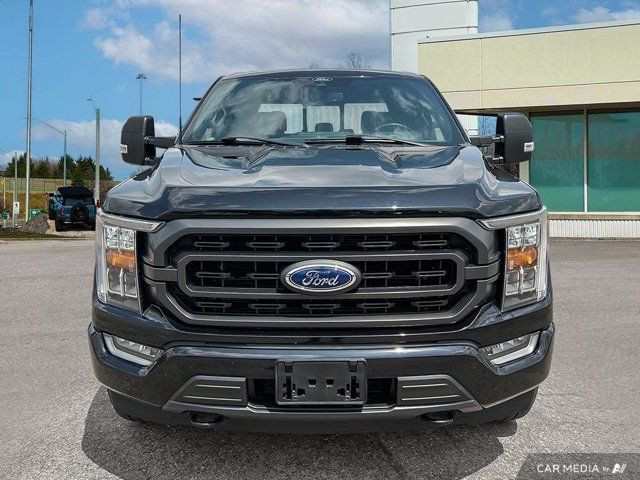 2022 Ford F-150 XLT in Cars & Trucks in Kitchener / Waterloo - Image 3