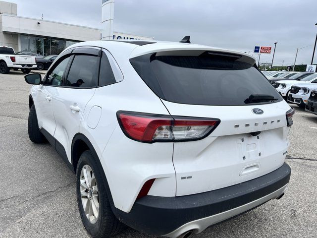 2020 Ford Escape SE in Cars & Trucks in Kitchener / Waterloo - Image 2
