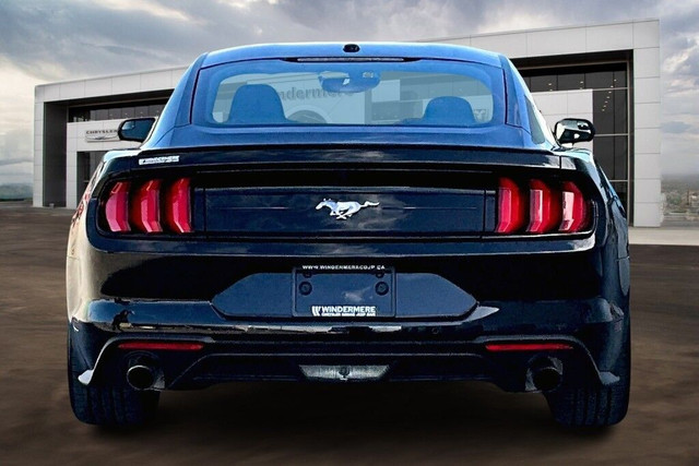 2019 Ford Mustang PREMIUM in Cars & Trucks in Edmonton - Image 4