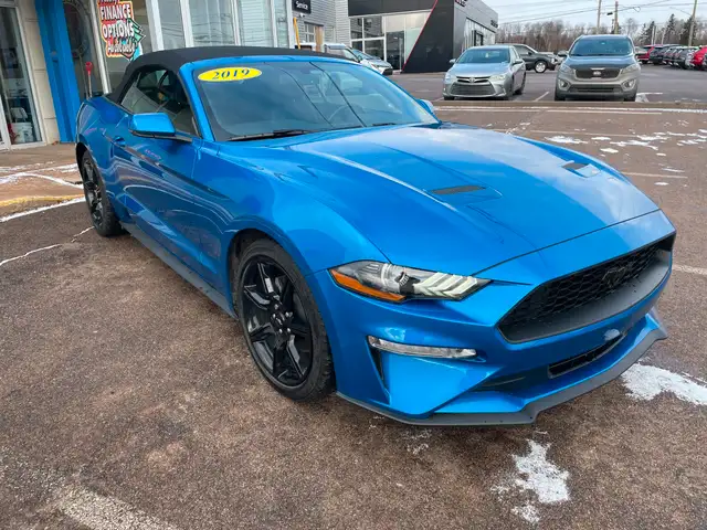 2019 Ford Mustang EcoBoost Premium Heated Seats, Backup Camera in Cars & Trucks in Charlottetown - Image 6