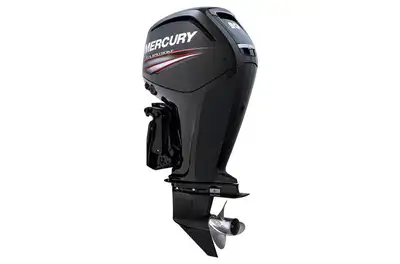 Loonie Toons Pontoons and Powersports is the area's newest Legend Boat and Mercury Marine Dealer. We...