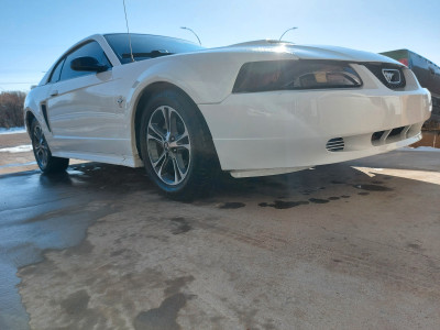 2002 Ford Mustang Basic