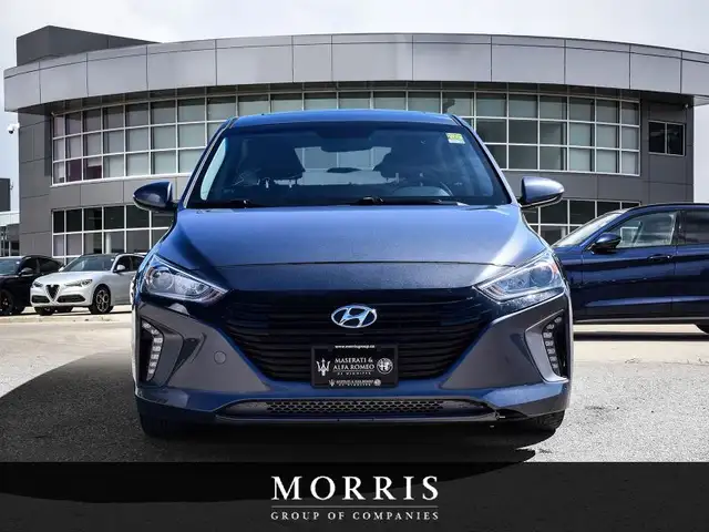 2018 Hyundai Ioniq Limited in Cars & Trucks in Winnipeg - Image 3