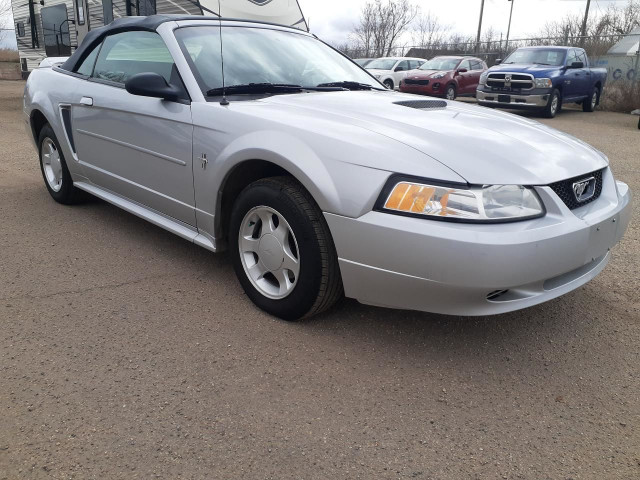  2000 Ford Mustang Convertible Leather Pony Package in Cars & Trucks in Edmonton - Image 3