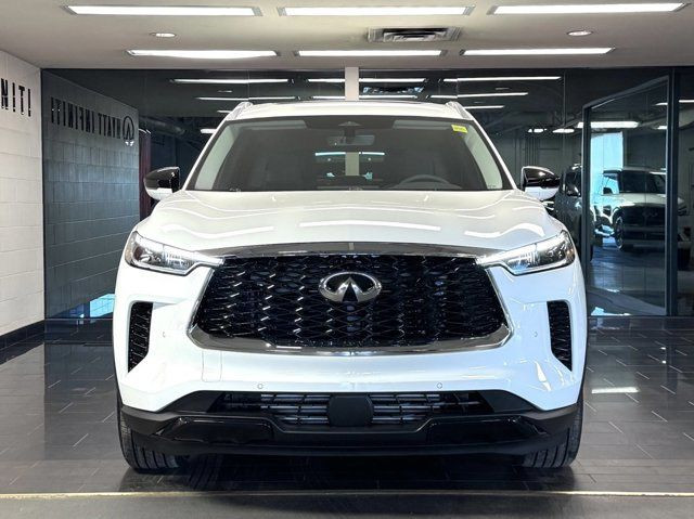 2025 INFINITI QX60 LUXE in Cars & Trucks in Calgary - Image 2