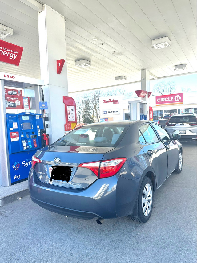 2014 Toyota Corolla LE in Cars & Trucks in Winnipeg - Image 3