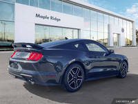 We're excited to offer this versatile 2023 Ford Mustang I4CP. ENGINE: 2.3L ECOBOOST (STD), Trunk Rea... (image 4)