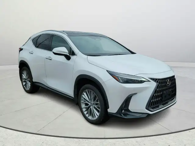 2024 Lexus NX 350h Accident Free Hybrid Luxury Package Financing in Cars & Trucks in Ottawa - Image 8