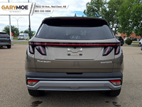 Price includes all Fees and Add-ons. What you see is what you pay! - Excludes GST The 2025 Hyundai T... (image 4)