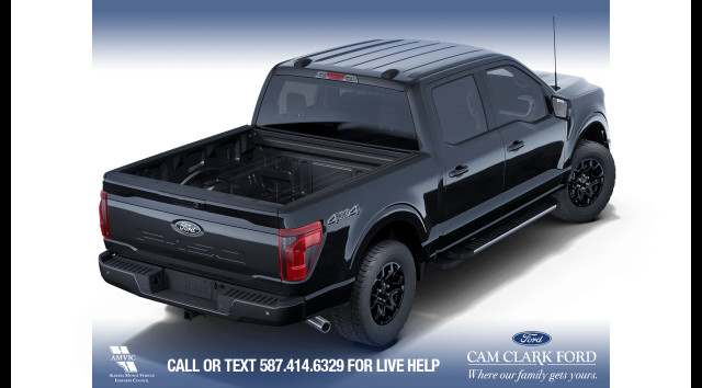 2025 Ford F-150 XLT in Cars & Trucks in Calgary - Image 4