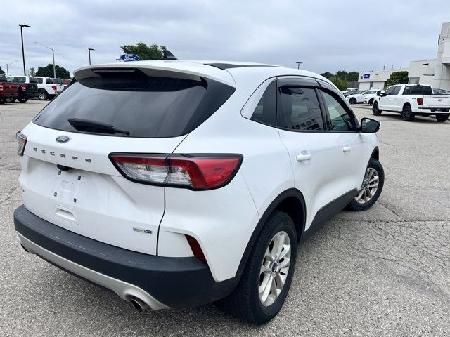 2020 Ford Escape SE in Cars & Trucks in Kitchener / Waterloo - Image 3