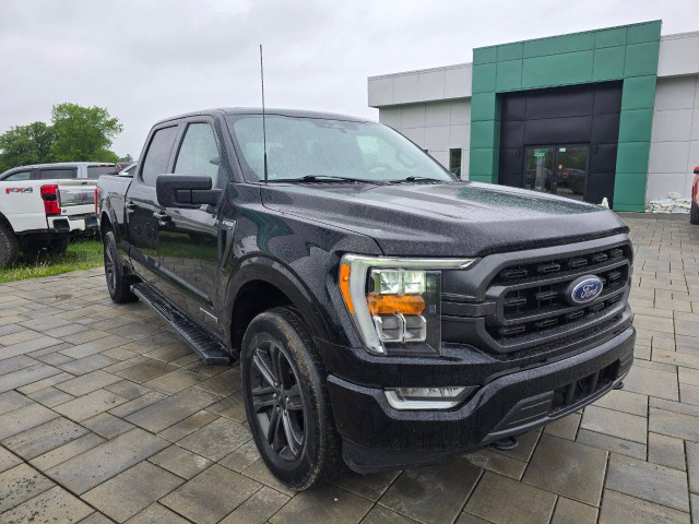 2022 Ford F-150 in Cars & Trucks in Ottawa - Image 3