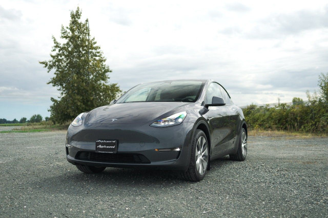 2023 Tesla Model Y in Cars & Trucks in Delta/Surrey/Langley - Image 3