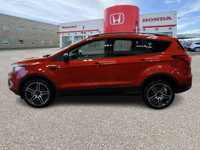 2019 Ford Escape SEL AWD – One Owner | Local Lethbridge SUV | Clean Carfax & Full Service History!Th... (image 5)