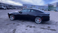 All Wheel Drive. Cloth/Leather Interior. 12.3 Inch Touchscreen. Bluetooth. Apple CarPlay/Android Aut... (image 6)