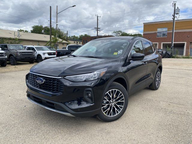 2025 Ford Escape PHEV in Cars & Trucks in Edmonton - Image 2