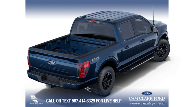 2025 Ford F-150 XLT in Cars & Trucks in Calgary - Image 4
