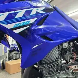 2025 Yamaha TT-R 230 in Dirt Bikes & Motocross in Regina - Image 9