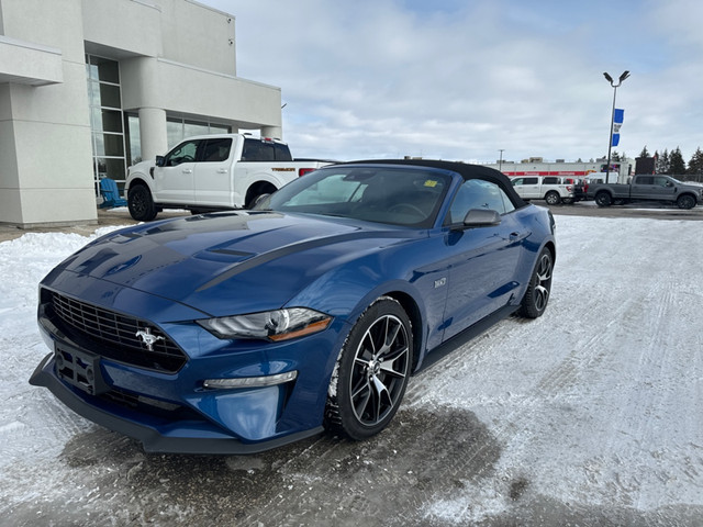 2022 Ford Mustang EcoBoost - Low Mileage in Cars & Trucks in Winnipeg - Image 2