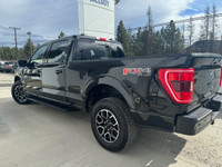 XL 4WD SuperCrew 5.5' Box (image 6)