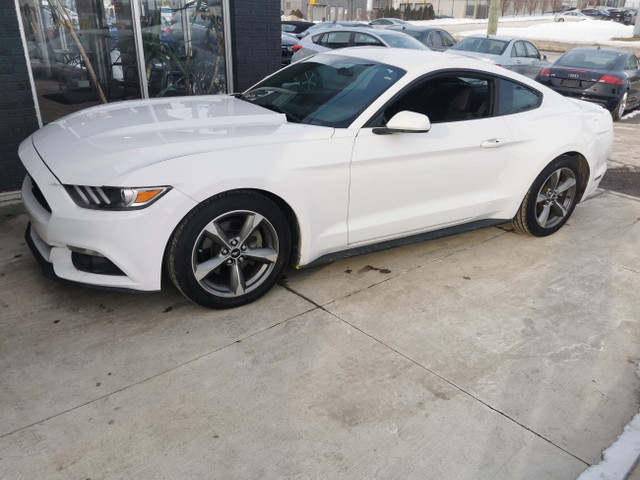 2017 Ford Mustang Fastback in Cars & Trucks in Kitchener / Waterloo - Image 4