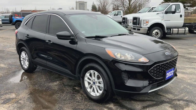 2022 Ford Escape SE HEATED STEERING WHEEL | AWD | REMOTE START in Cars & Trucks in Kitchener / Waterloo - Image 2